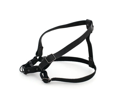 Black dog harness on a white background