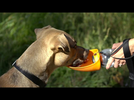 Fold-A-Bowl Portable Water Bottle and Bowl for Dogs - Flipo orange with dog