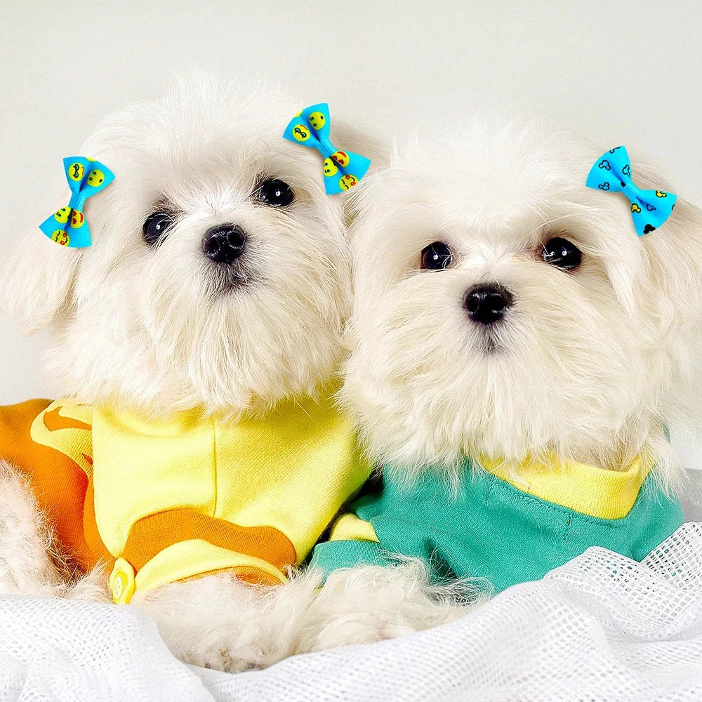 Two small, fluffy white puppies sit close together, each wearing bright, colorful shirts - one in orange-yellow, the other in blue-green. They have matching blue puppy hair accessories with smiley faces on their heads from the 30PCS Adorable Dog Puppy Bows - Perfect Hair Accessories for Small Dogs collection, looking adorably at the camera. White fabric is visible in the foreground.