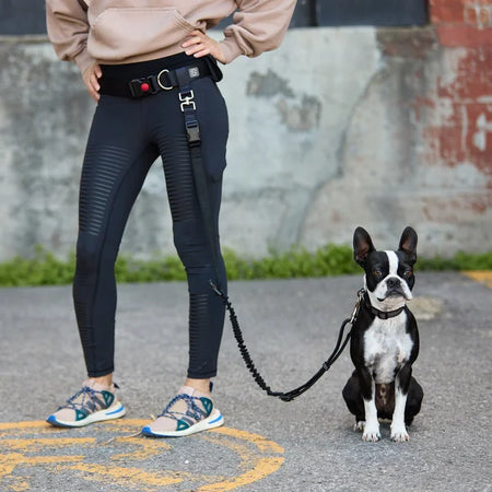 Person wearing black pants with a dog on a leash in an urban setting