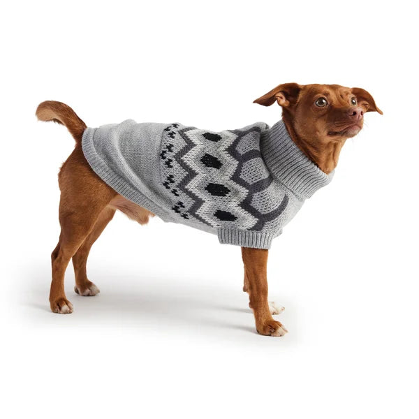 Dog wearing a gray patterned sweater on a white background