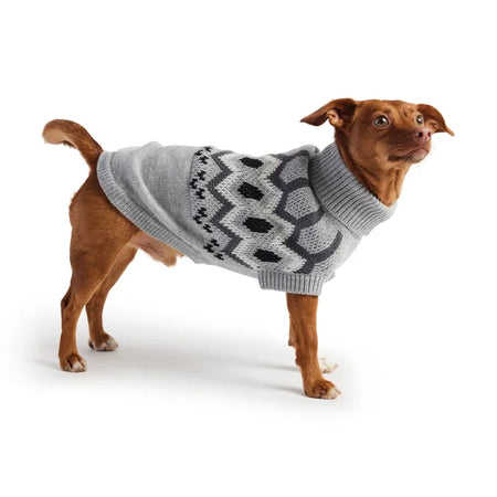 Dog wearing a gray patterned sweater on a white background