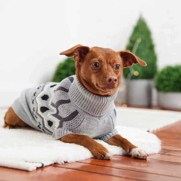 Dog wearing a gray sweater on a wooden floor with plants in the background