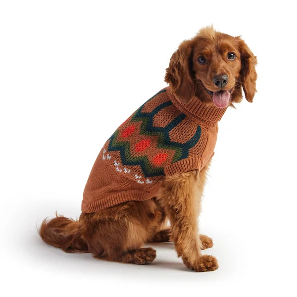 Dog wearing a brown sweater with a geometric pattern on a white background
