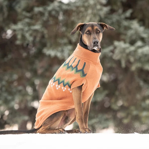 Dog wearing an orange sweater with a pattern, sitting in a snowy landscape with trees.