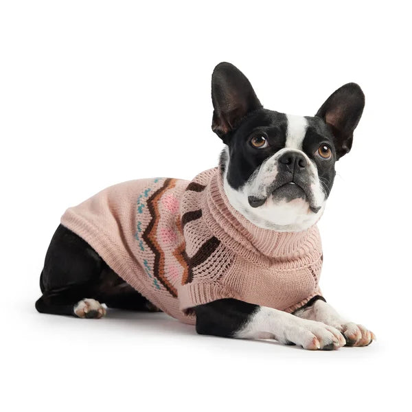Dog wearing a pink sweater on a white background