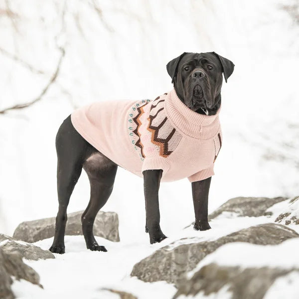 Dog wearing a pink sweater with a geometric pattern in a snowy landscape