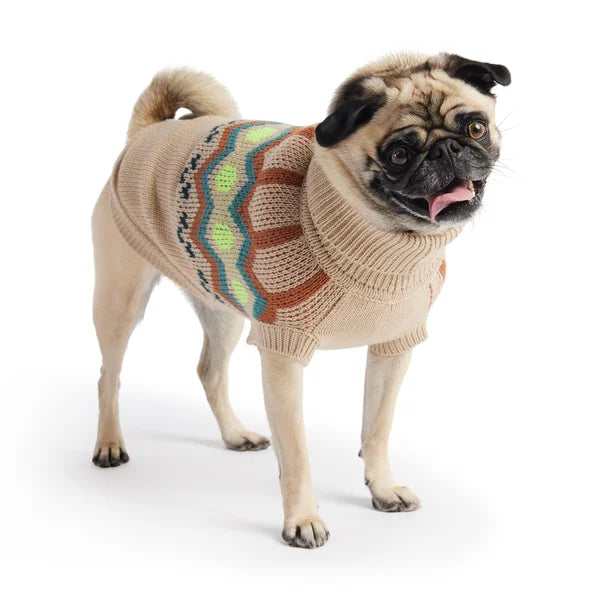 Pug wearing a colorful sweater on a white background