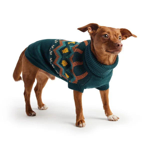 Dog wearing a teal sweater with colorful patterns on a white background