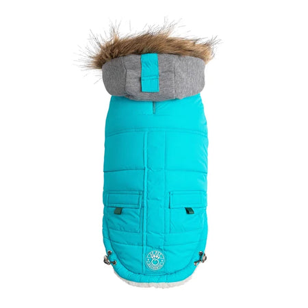 Turquoise dog coat with gray hood and fur trim on a white background