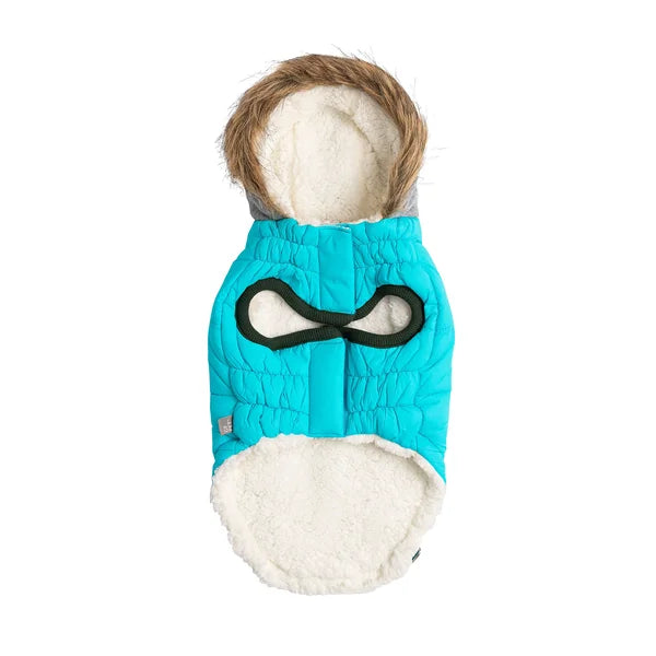 Dog wearing a turquoise quilted jacket with a white interior on a white background