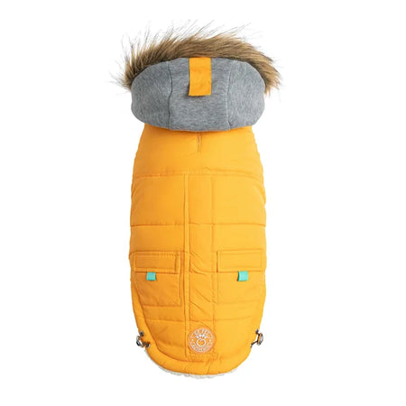 Yellow dog coat with gray hood and fur trim on a white background