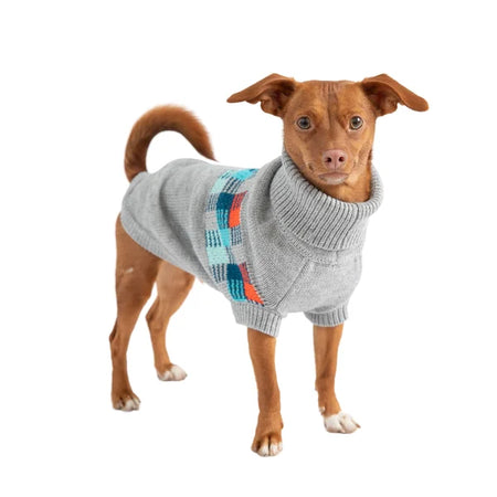 Dog wearing a gray sweater with colorful patterns on a white background