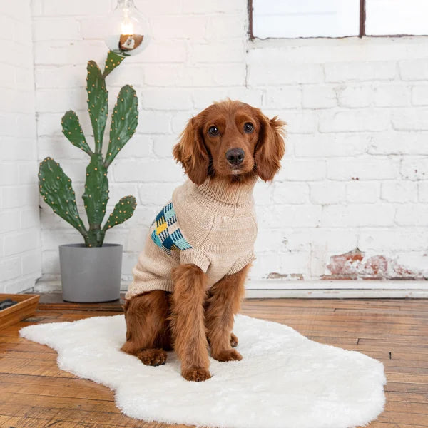 Dog wearing a beige sweater with a colorful pattern, sitting on a white rug in a room with a cactus plant and white brick wall.