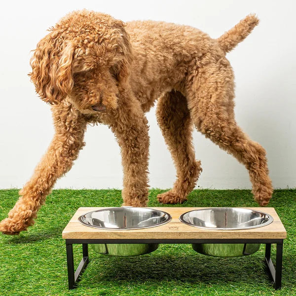 Brown dog standing next to a wooden pet feeder with two metal bowls on a grassy surface.