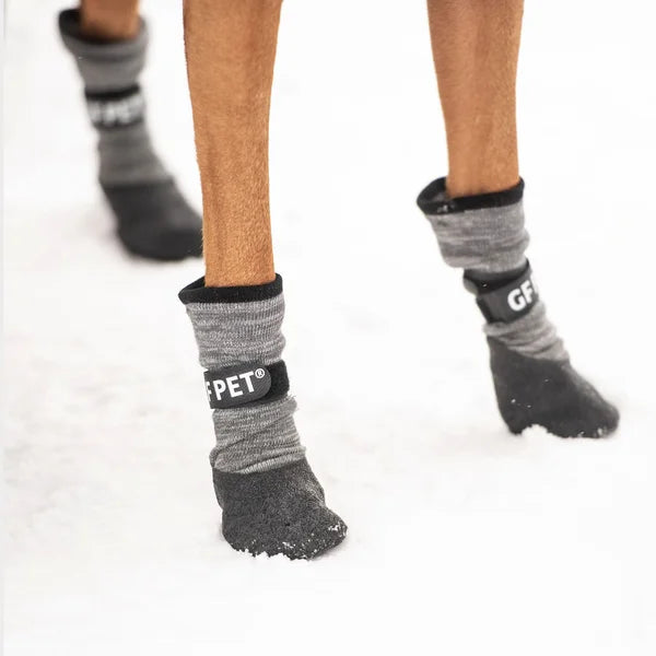 Gray pet socks with black soles on a white background