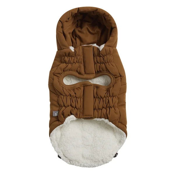 Brown pet coat with white interior on a white background