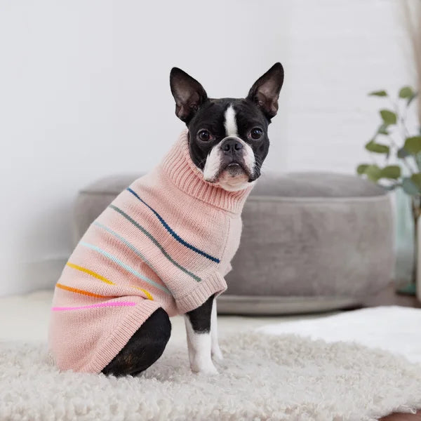 Dog wearing a striped sweater sitting on a couch with a neutral background