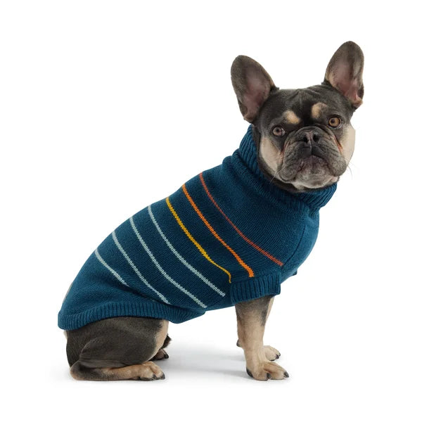 Dog wearing a blue striped sweater on a white background
