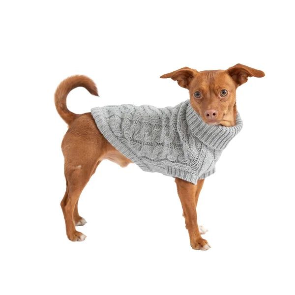 Dog wearing a gray knitted sweater on a white background