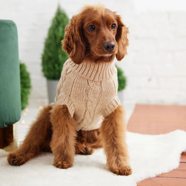 Dog wearing a beige knitted sweater on a white surface with greenery in the background