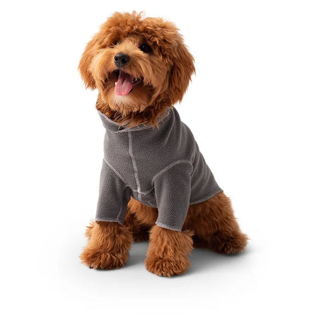 Dog wearing a gray fleece hoodie on a white background