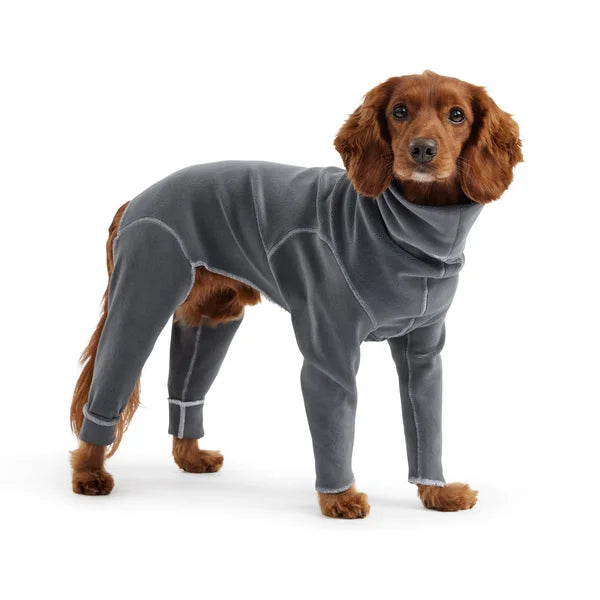 Dog wearing a gray fleece onesie on a white background