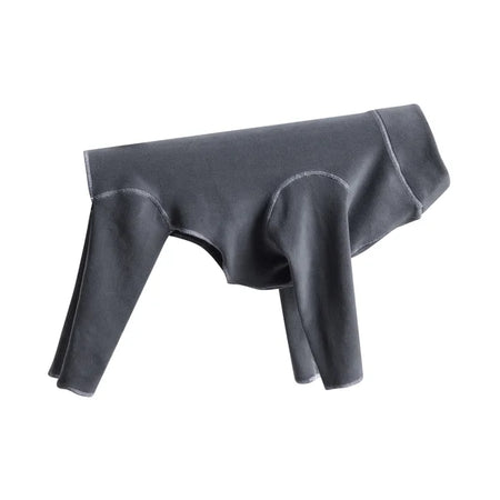 Dark gray dog coat on a white background