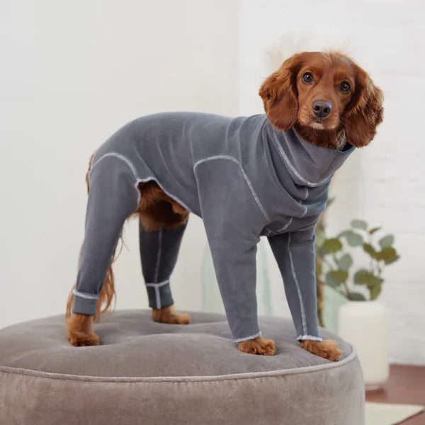 Dog wearing a gray fleece onesie on a cushioned surface with a blurred indoor background