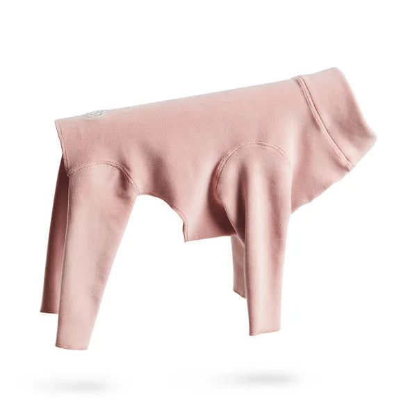 Pink dog coat on a white background