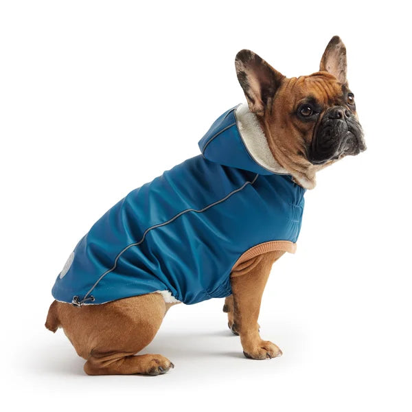 Dog wearing a blue raincoat on a white background