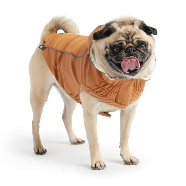 Pug wearing an orange coat on a white background