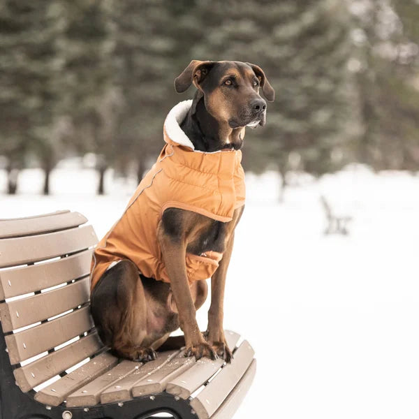 Dog wearing an orange coat sitting on a bench in a snowy landscape