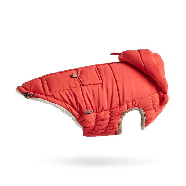 Red dog coat with a hood on a white background