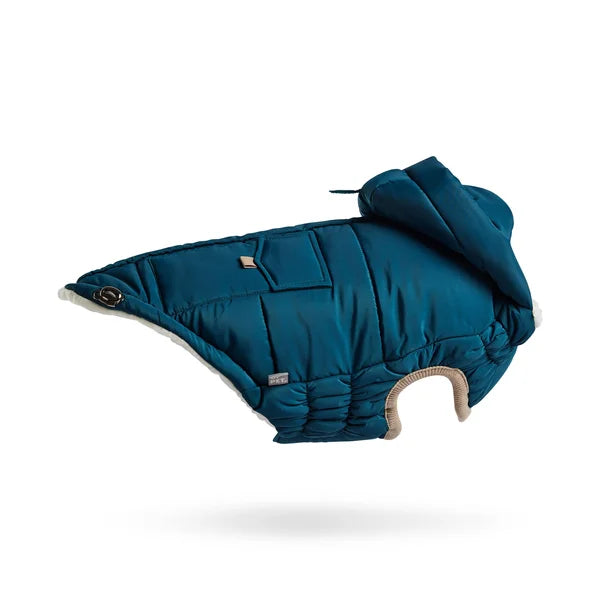 Blue dog coat with a hood on a white background