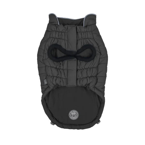 Black pet coat with a bow on a white background