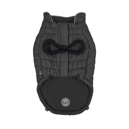 Black pet coat with a bow on a white background