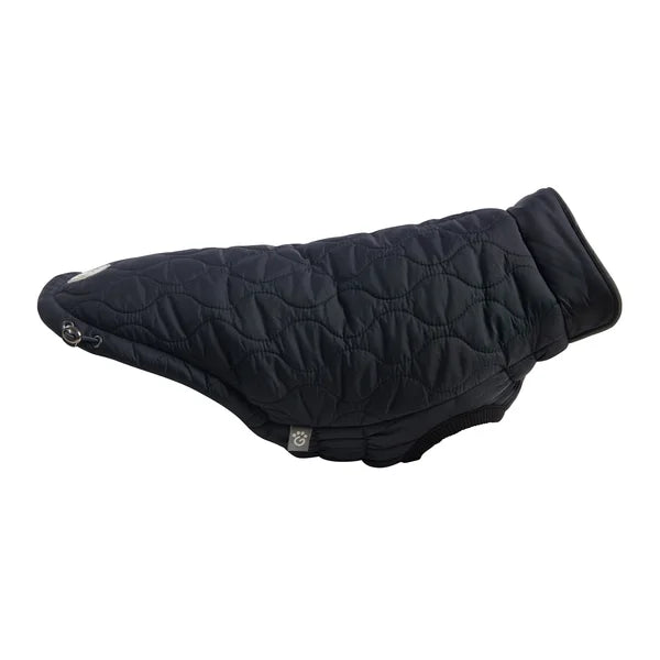 Black quilted dog coat on a white background