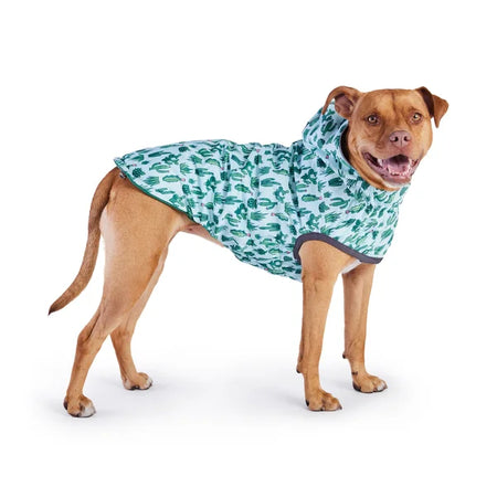 Dog wearing a green and white patterned raincoat on a white background