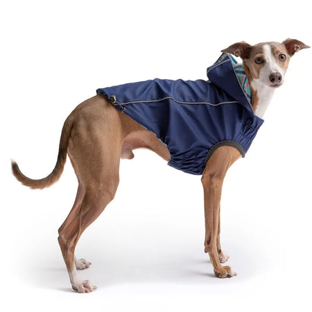 Dog wearing a blue raincoat on a white background