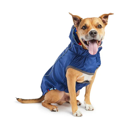 Dog wearing a blue raincoat on a white background