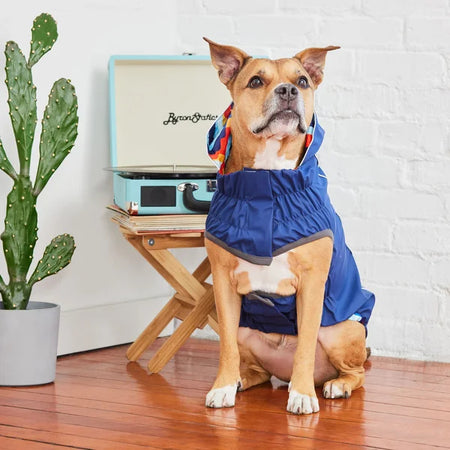 Dog wearing a blue raincoat sitting in front of a turquoise record player with 'Byron & Boon' branding.