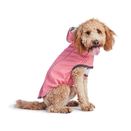 Dog wearing a pink raincoat on a white background