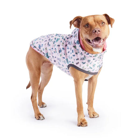 Dog wearing a patterned raincoat on a white background