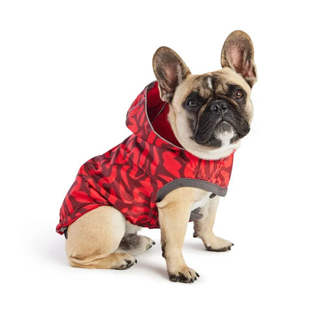 Dog wearing a red camouflage hoodie on a white background