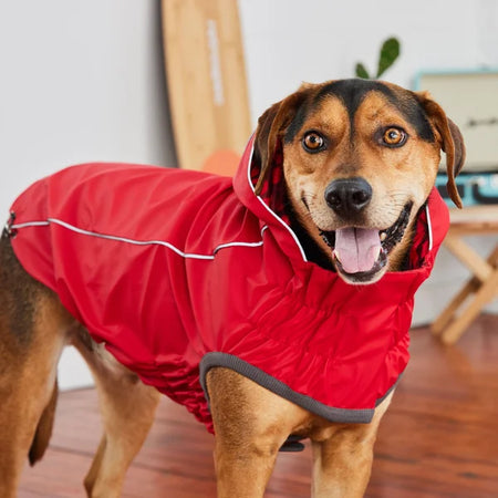 Dog wearing a red raincoat indoors