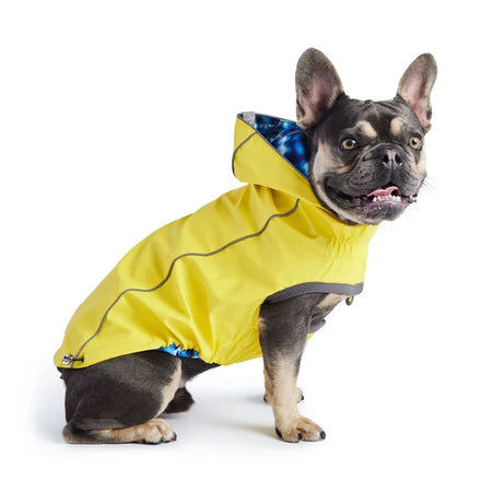 Dog wearing a yellow raincoat on a white background