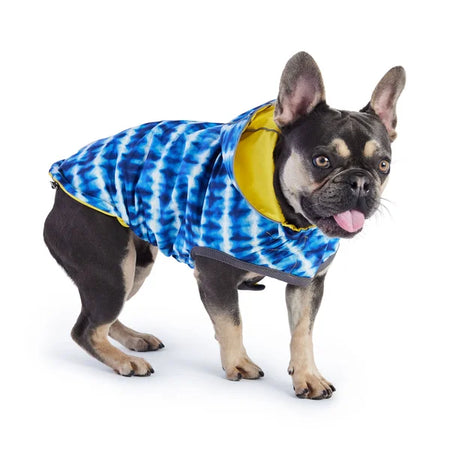Dog wearing a blue and white tie-dye coat with yellow lining on a white background