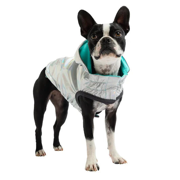 Dog wearing a raincoat with a white background
