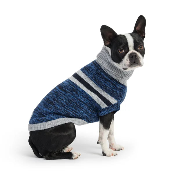 Dog wearing a blue and gray striped sweater on a white background